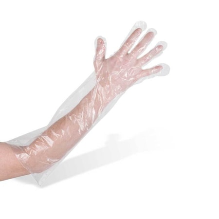 Amercareroyal Disposable Gloves, .03mm Palm, Poly, 100 PK, Clear 485RDEG